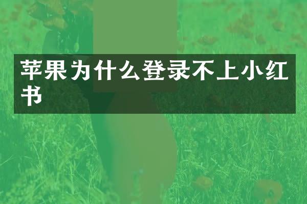 苹果为什么登录不上小红书