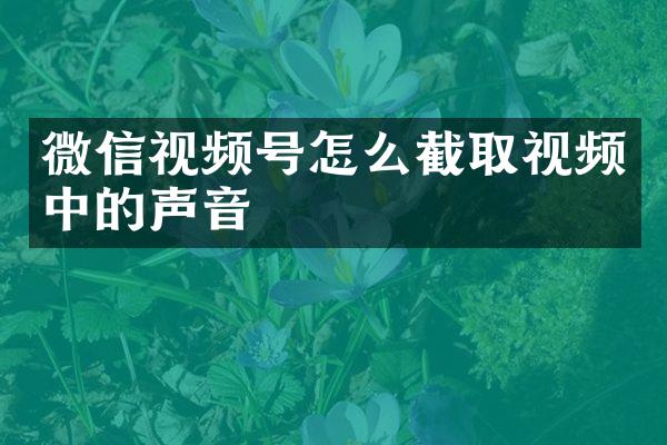 微信视频号怎么截取视频中的声音