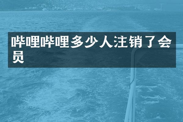 哔哩哔哩多少人注销了会员