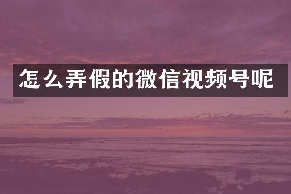 怎么弄假的微信视频号呢