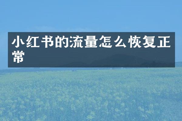 小红书的流量怎么恢复正常