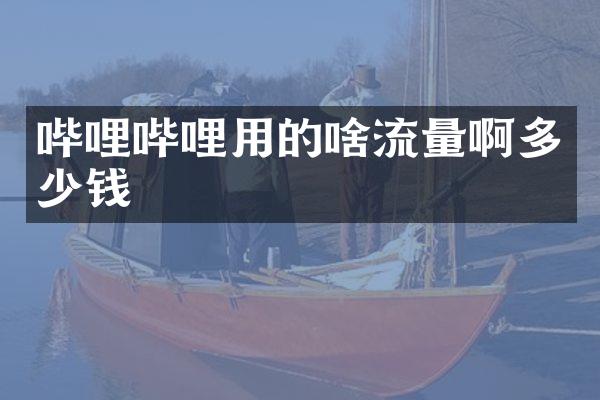 哔哩哔哩用的啥流量啊多少钱