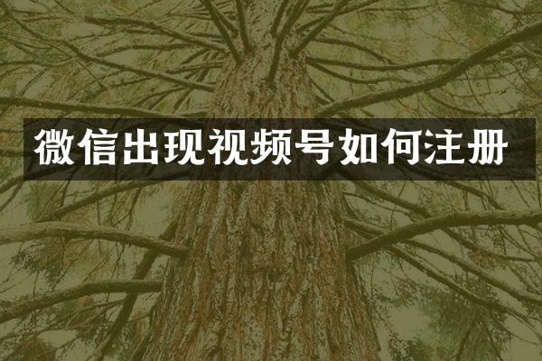 微信出现视频号如何注册