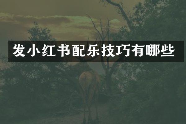 发小红书配乐技巧有哪些