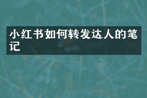 小红书如何转发达人的笔记