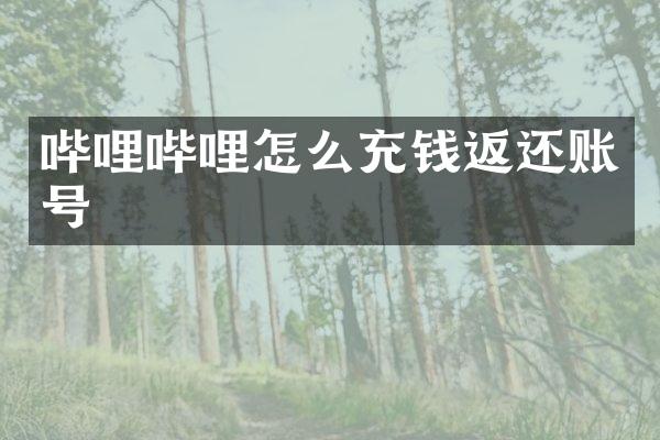哔哩哔哩怎么充钱返还账号