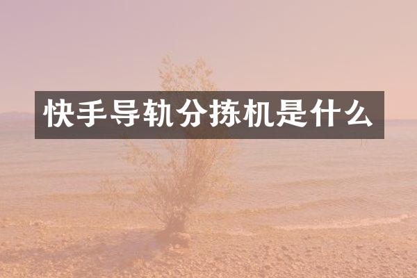 快手导轨分拣机是什么