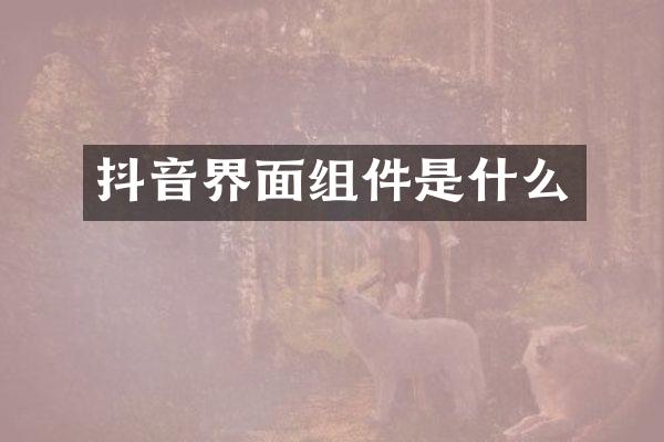 抖音界面组件是什么