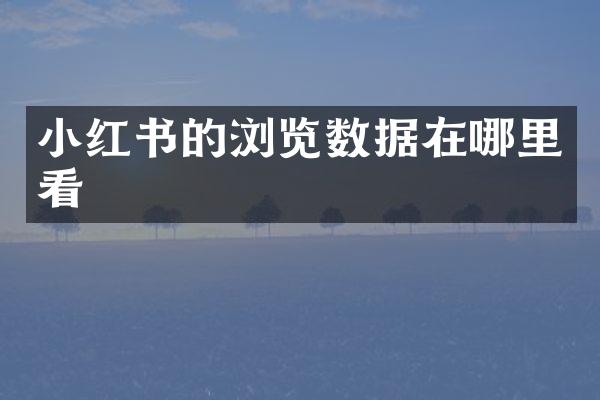 小红书的浏览数据在哪里看