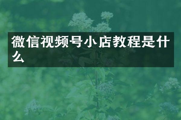 微信视频号小店教程是什么