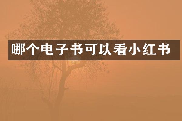 哪个电子书可以看小红书