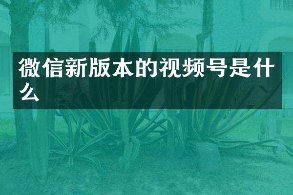 微信新版本的视频号是什么