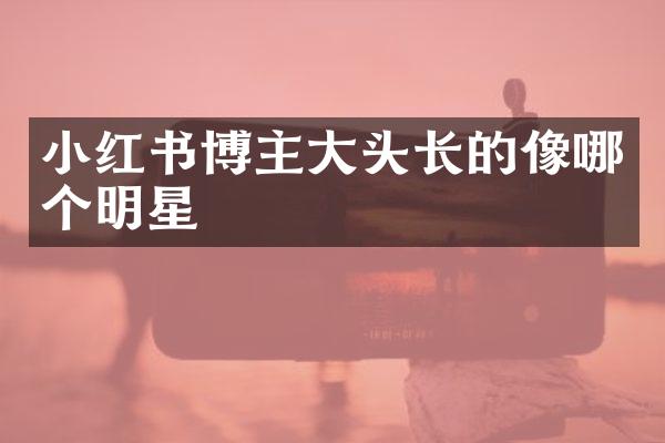 小红书博主大头长的像哪个明星