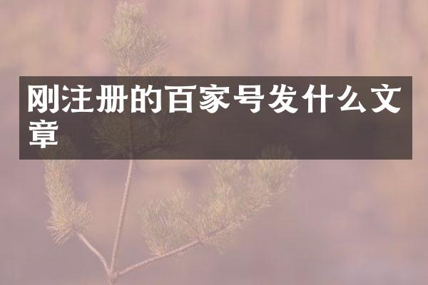 刚注册的百家号发什么文章