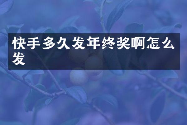 快手多久发年终奖啊怎么发