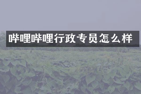 哔哩哔哩行政专员怎么样