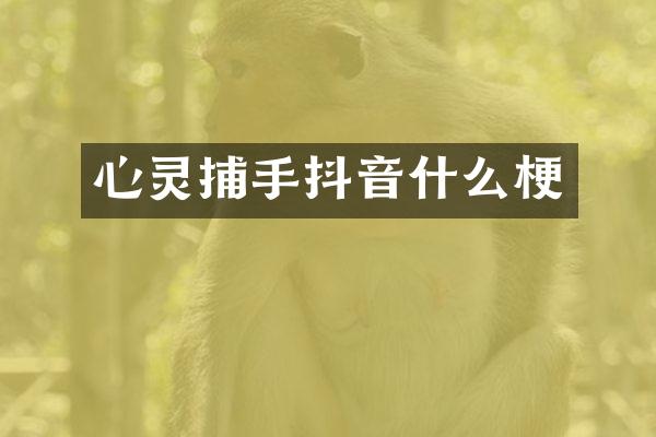 心灵捕手抖音什么梗