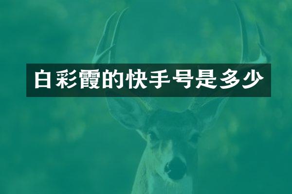 白彩霞的快手号是多少