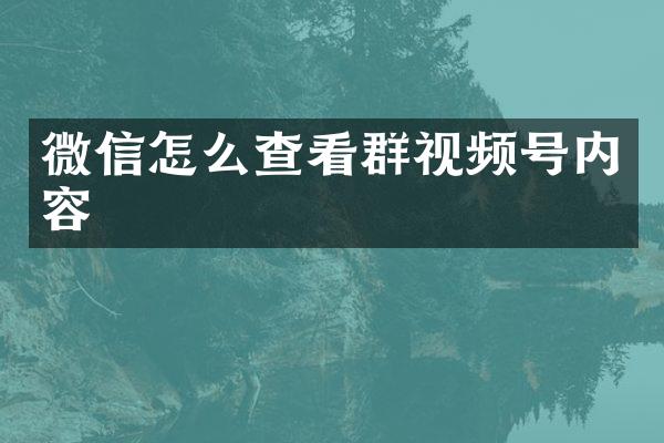 微信怎么查看群视频号内容