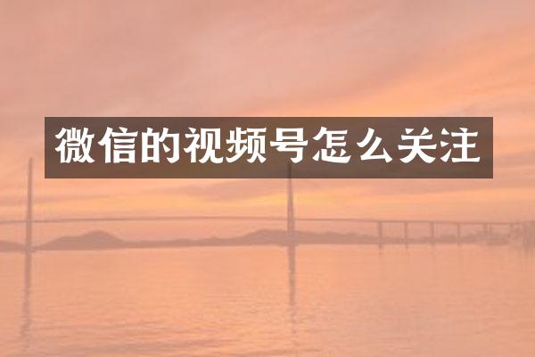 微信的视频号怎么关注