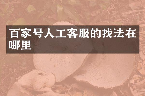 百家号人工客服的找法在哪里