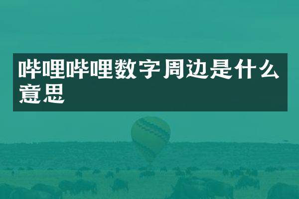 哔哩哔哩数字周边是什么意思
