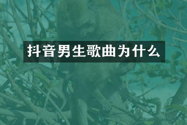 抖音男生歌曲为什么