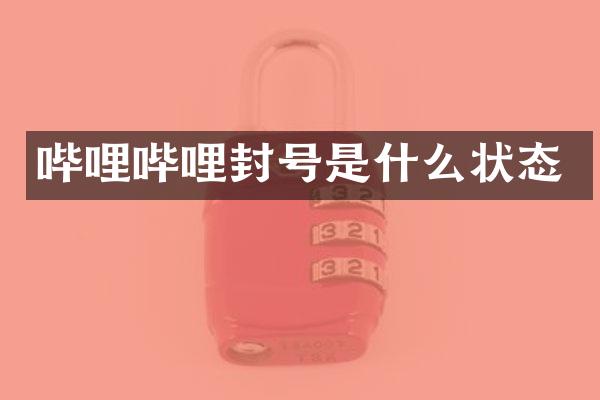 哔哩哔哩封号是什么状态