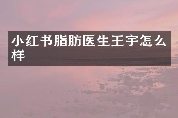 小红书脂肪医生王宇怎么样