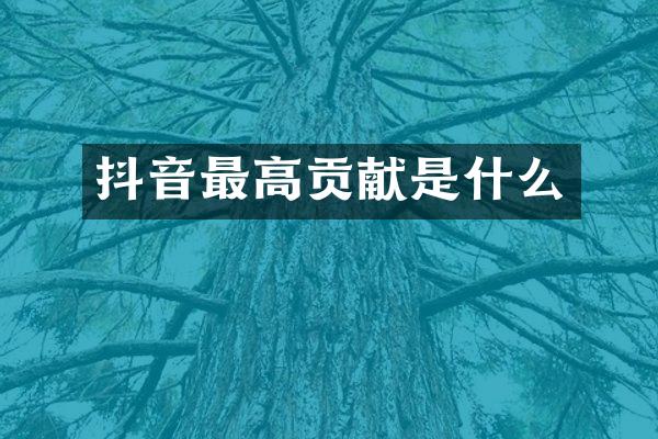 抖音最高贡献是什么