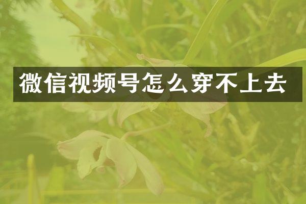 微信视频号怎么穿不上去