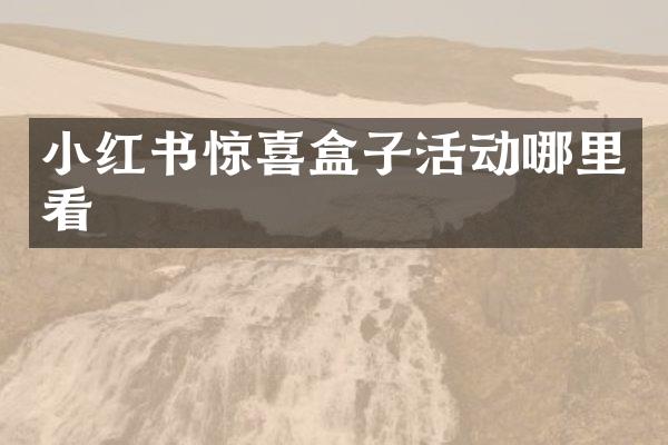 小红书惊喜盒子活动哪里看