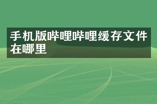 手机版哔哩哔哩缓存文件在哪里