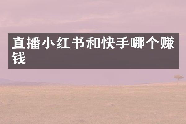 直播小红书和快手哪个赚钱