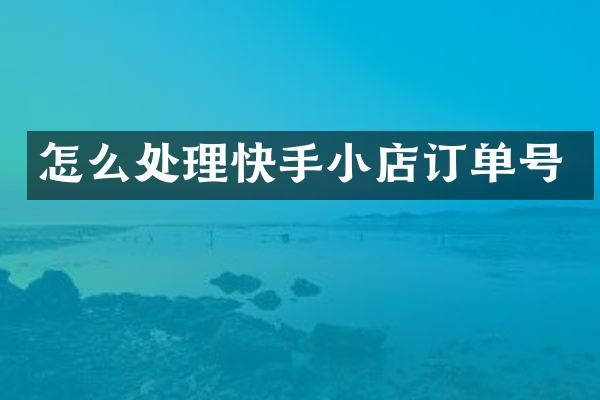 怎么处理快手小店订单号