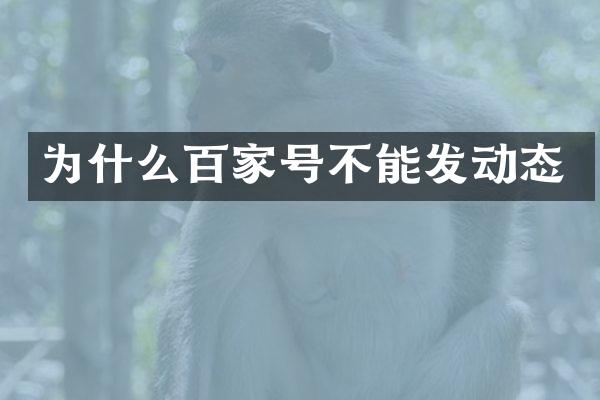为什么百家号不能发动态
