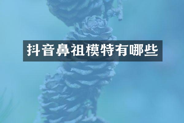 抖音鼻祖模特有哪些