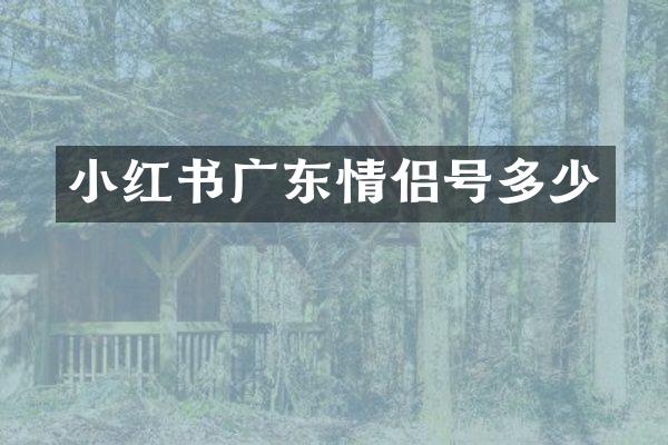 小红书广东情侣号多少