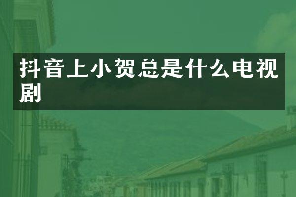 抖音上小贺总是什么电视剧
