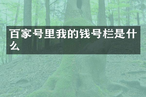 百家号里我的钱号栏是什么