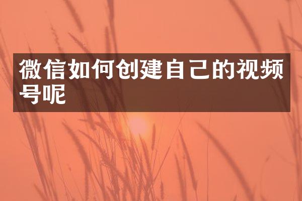 微信如何创建自己的视频号呢