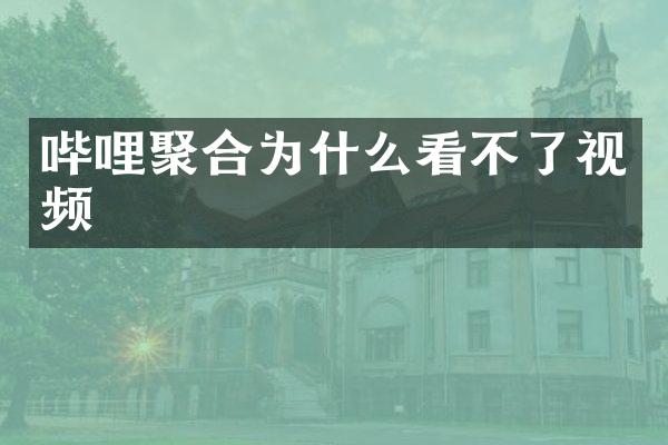 哔哩聚合为什么看不了视频