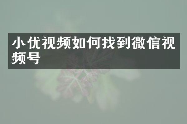 小优视频如何找到微信视频号