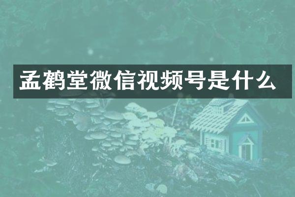 孟鹤堂微信视频号是什么