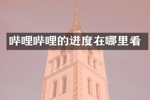 哔哩哔哩的进度在哪里看