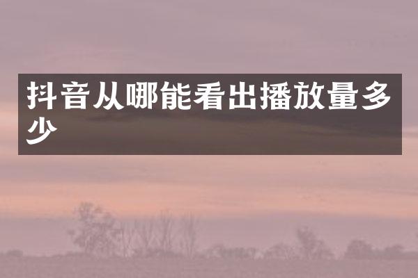 抖音从哪能看出播放量多少