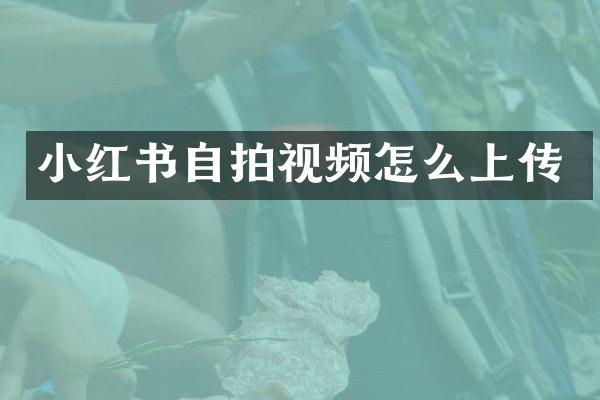小红书视频怎么上传