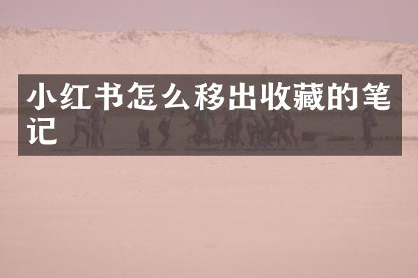 小红书怎么移出收藏的笔记