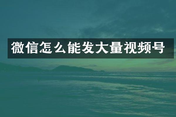 微信怎么能发大量视频号