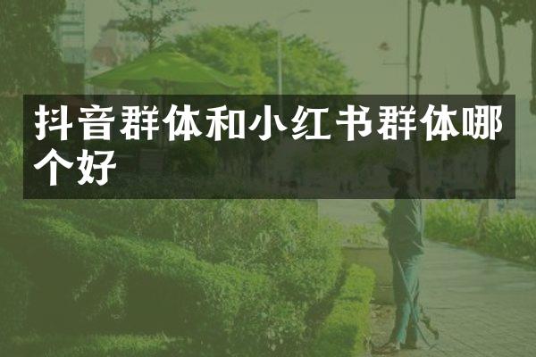 抖音群体和小红书群体哪个好